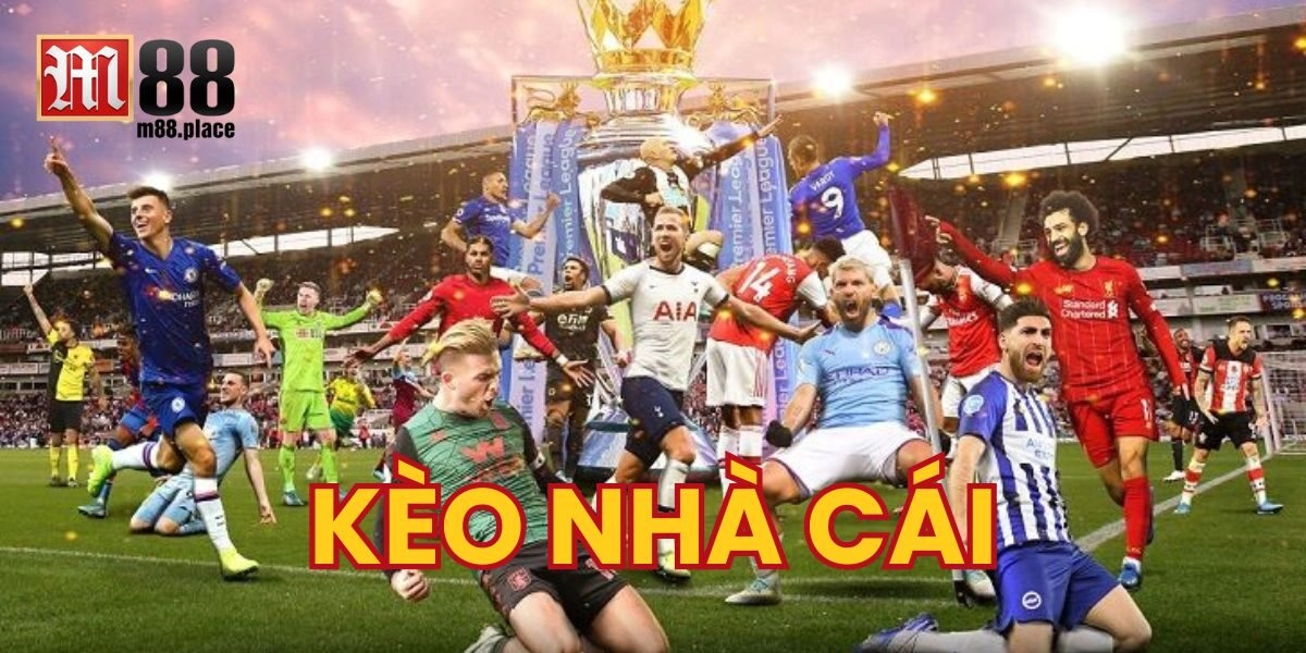 Chi Tiết Cách Soi Kèo Nhà Cái 2025 & Mẹo Hay Thắng Đậm